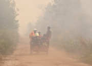 Karhutla P. Raya 699 Kejadian, 1.343 Hektare Lahan Terbakar