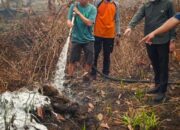 Atasi Karhutla, Wali Kota Fairid Cek Efektivitas Shabodama dan X-Fire