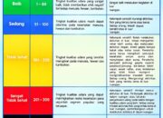 Hujan Tidak Ada, Udara P.Raya Berbahaya, PM2.5 Melonjak, Siang Hari Tembus 1.046,3 µg/m³
