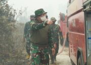 Pangdam XXII/Tambun Bungai Tinjau Karhutla di Pulang Pisau
