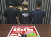 Bekuk 3 Pria, Polisi Sita Setengah Kilogram Sabu