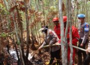 Gunakan X-Fire, Kapolres Kapuas Turun Langsung Padamkan Karhutla
