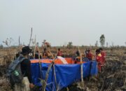 Kebakaran Hutan TNTP Tidak Berpengaruh Pada Habitat Orangutan