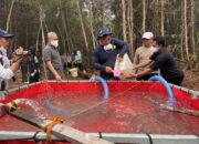 Cairan Shabodama Diklaim Efektif Padamkan Karhutla di Lahan Gambut