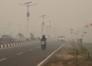 Kabut Asap Masih Pekat, Anggaran BTT Karhutla Pemko Menipis
