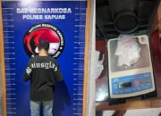 Bawa Sabu 25,11 Gram, Pegawai Honorer Kapuas Diciduk