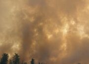 Kobar 603 Hotspot, Terbakar 1.573,42 hektare