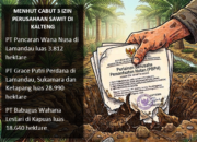 Menhut Cabut 3 Izin Perusahaan HTI di Kalteng, Karhutla Mengancam Konsesi