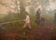 Lihat Titik Api di Kobar, Tanggap Gubernur Agustiar Turun Bantu Relawan Padamkan Karhutla