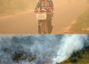 Karhutla dan Asap di Kalteng Mengganas, Kasus ISPA 114.365 dan 25.701 Kasus Diare, 284.645 Titik Hotspot, Luas Kebakaran Tembus 17.941 Hektare