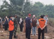 52.325,73 Hektare TNTP Terbakar Bertentangan Data BPBD Kalteng