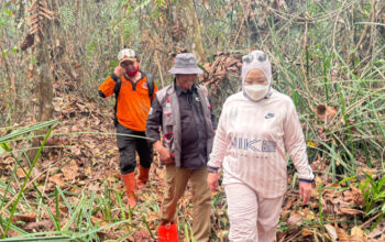 Menhut dan Bupati Terjun Langsung Pantau Proses Penanganan Kebakaran Hutan TNTP 