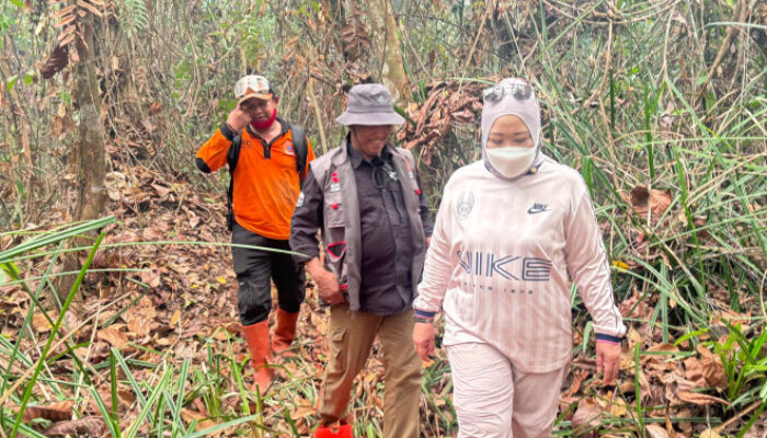 Menhut dan Bupati Terjun Langsung Pantau Proses Penanganan Kebakaran Hutan TNTP 