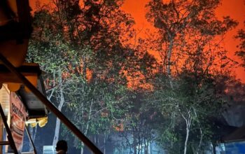 Kebakaran di TNTP Tak Terkendali Api Merayap Masuk Camp Tanjung Harapan 