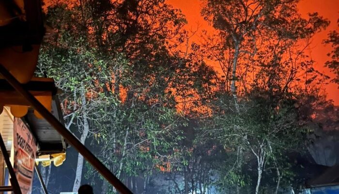 Kebakaran di TNTP Tak Terkendali Api Merayap Masuk Camp Tanjung Harapan 
