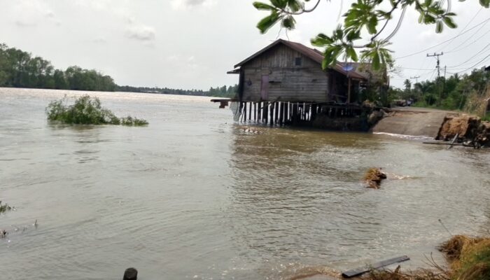 Jalan di Desa Sungai Mitak Amblas, Warga Minta Kondisi Segera Ditangani