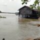Jalan di Desa Sungai Mitak Amblas, Warga Minta Kondisi Segera Ditangani