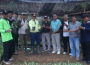 Bupati Seruyan Dorong Pengembangan Nilam di Tumbang Manjul