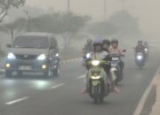 BMKG: Hujan Lokal Sudah Mulai, Merata Diprediksi Akhir Oktober