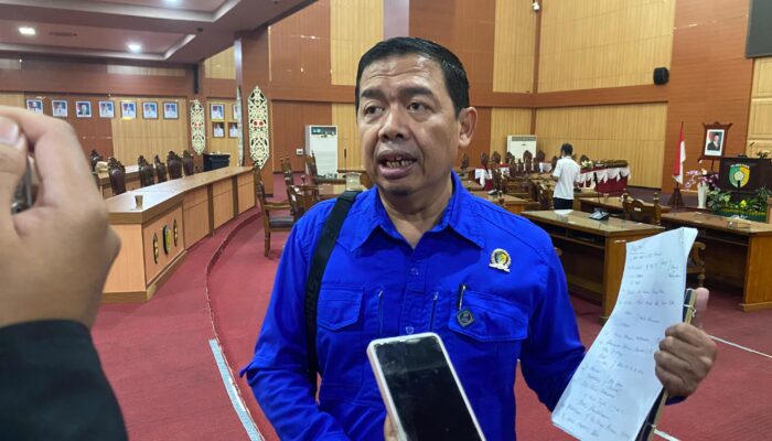 Wadi Khas Kalteng Berpotensi Jadi Produk Unggulan UMKM