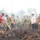 Kepala BNPB dan Kasad Tinjau Lokasi Karhutla di Pulpis