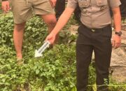 Hilang 4 Hari, A Ditemukan Tewas di Parit Jalan DI Panjaitan Katingan