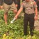 Hilang 4 Hari, A Ditemukan Tewas di Parit Jalan DI Panjaitan Katingan