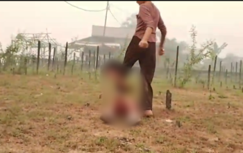 Geger Kasus Perundungan Anak, Kasus Berujung Damai