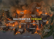 Total Terbakar 16.074,66 Hektare, 3 Kabupaten Titik Merah Terparah Karhutla Kalteng